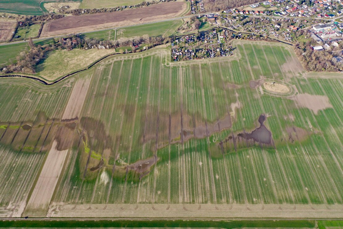Staunasse Ackerfläche mit sichtbaren Drainageproblemen
