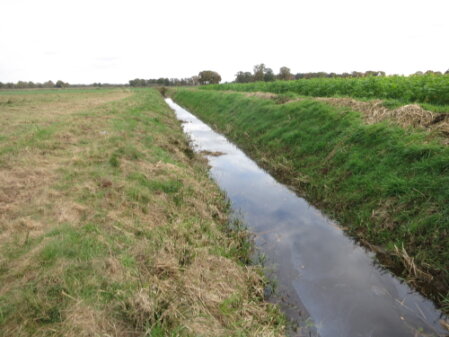 Bauarbeiten an Drainageleitungen auf einer landwirtschaftlichen Fläche